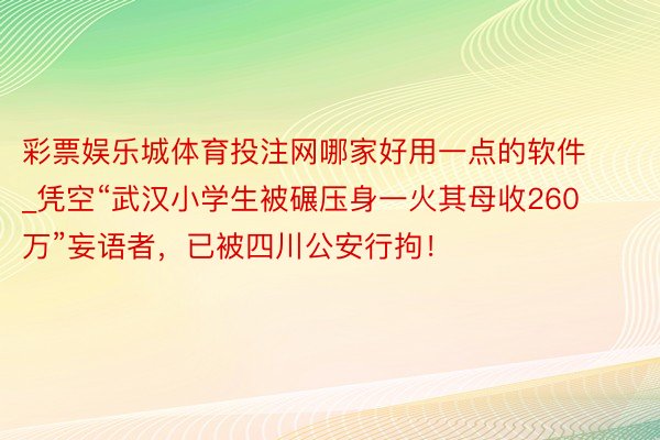 彩票娱乐城体育投注网哪家好用一点的软件_凭空“武汉小学生被碾压身一火其母收260万”妄语者，已被四川公安行拘！