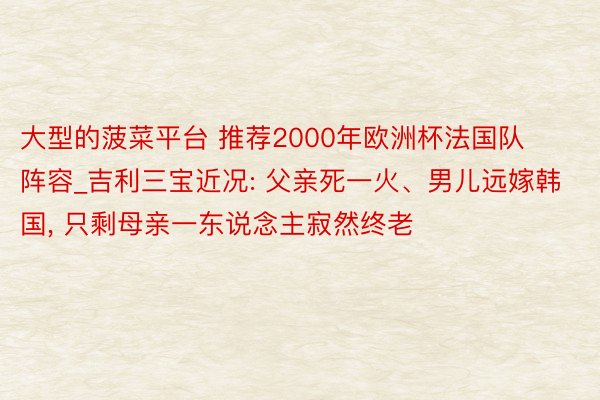 大型的菠菜平台 推荐2000年欧洲杯法国队阵容_吉利三宝近况: 父亲死一火、男儿远嫁韩国, 只剩母亲一东说念主寂然终老