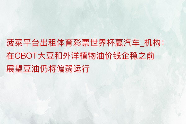 菠菜平台出租体育彩票世界杯赢汽车_机构：在CBOT大豆和外洋植物油价钱企稳之前 展望豆油仍将偏弱运行